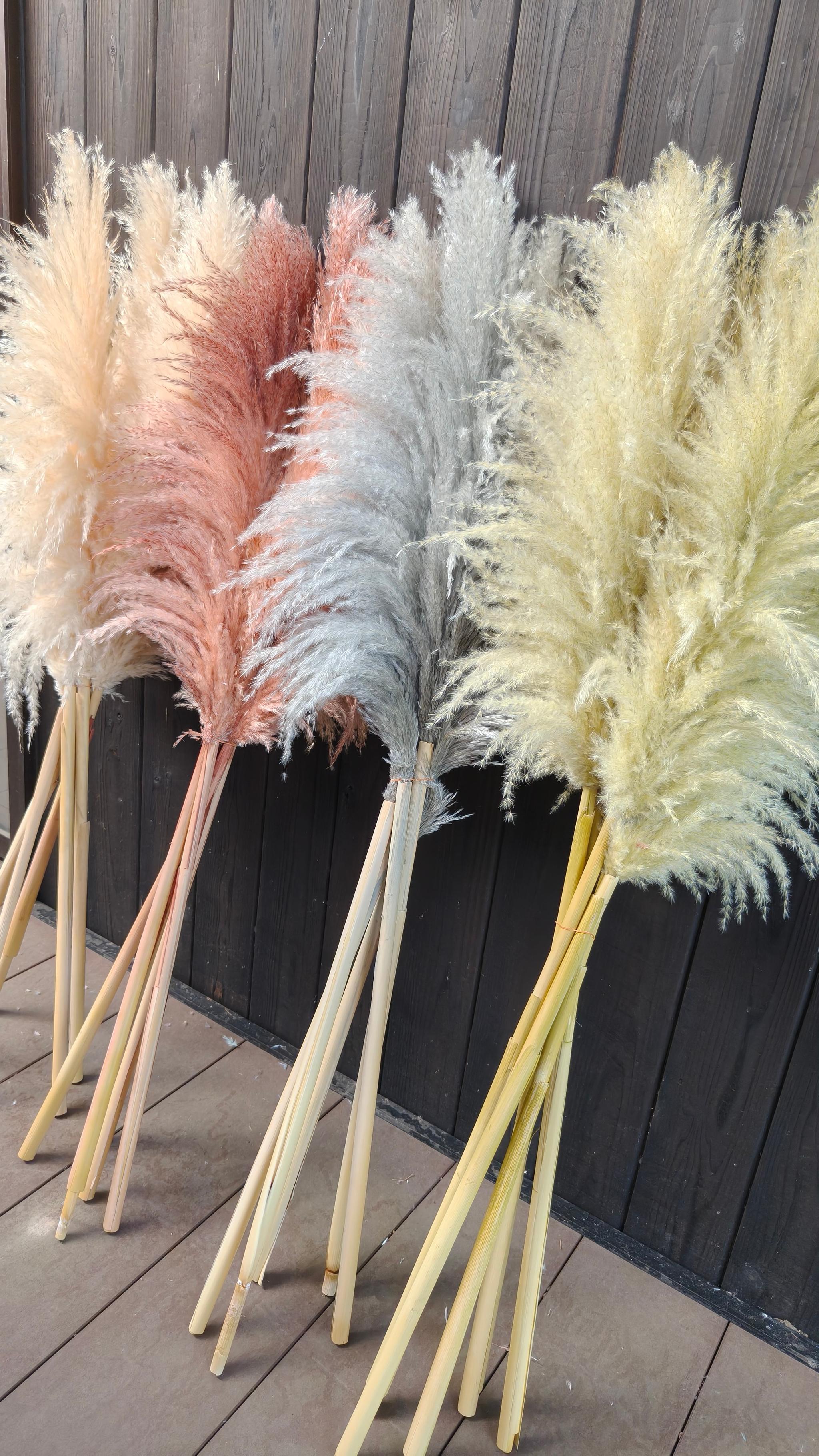 今季!秋冬カラーのパンパスグラス 開店祝い 花 ドライフラワー インテリア ウェディング 大人クリスマス2025 | 3枚目